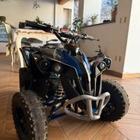 Quad elettrico