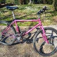 bicicletta