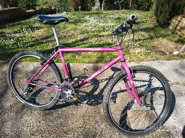 bicicletta