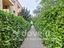 Immagine 24