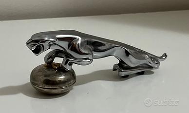 Stemma Jaguar cromato