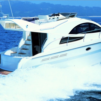 Rodman 38fly