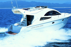 Rodman 38fly