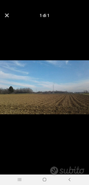 Terreno agricolo fronte strada