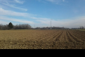 Terreno agricolo fronte strada