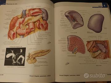 Netter Atlante di Anatomia 