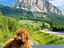 Immagine 5