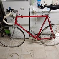 bici corsa rigoni campagnolo