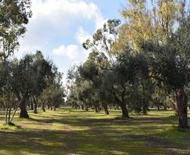 Terreno destinazione turistica otranto