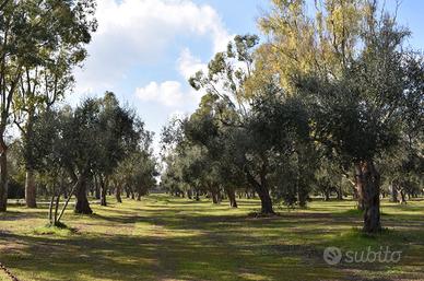 Terreno destinazione turistica otranto