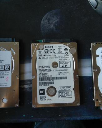 Hard disk portatili 2,5 pollici 500, 320 GB e 1TB