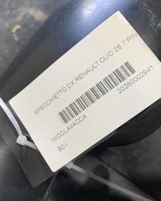 SPECCHIETTO RETROVISORE DESTRO RENAULT Clio Serie