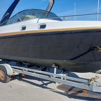 Sessa ninja 23