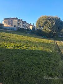 Terreno edificabile Castiglione della Valle