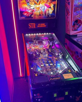 Flipper Stern PlayBoy