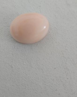 cabochon   di corallo rosa 