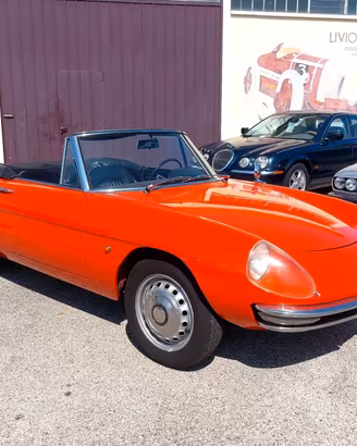 Alfa Romeo Spider Duetto 1600 Osso di Seppia del 1