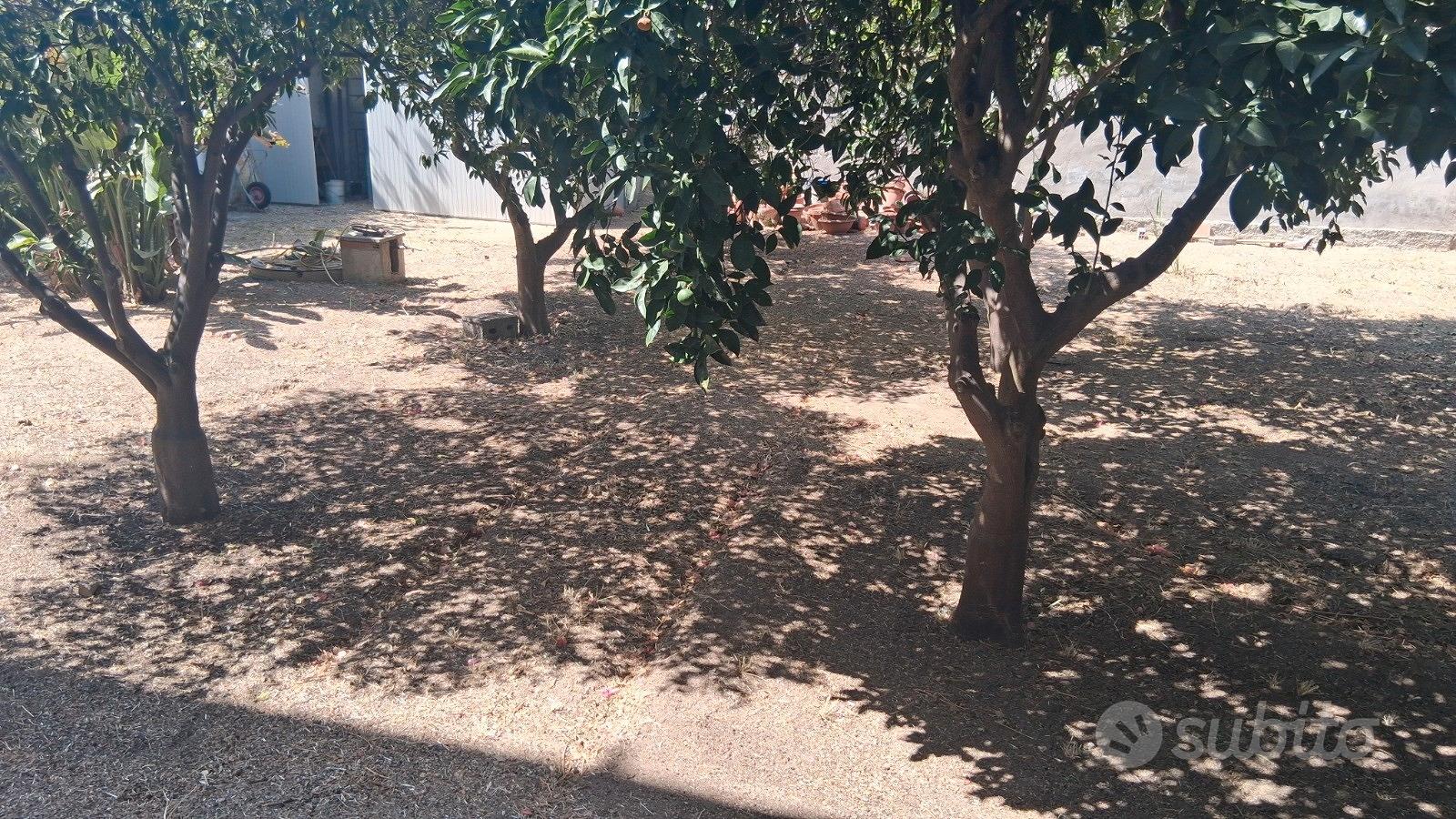 Appartamento – Quartu Sant'Elena, Casteddu/Cagliari - Vista 2