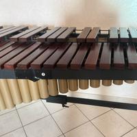 Marimba Adams Concert