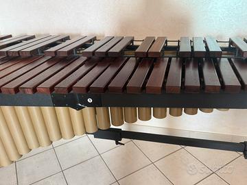 Marimba Adams Concert