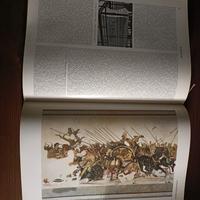 enciclopedia motta