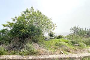 TERRENO A PALERMO