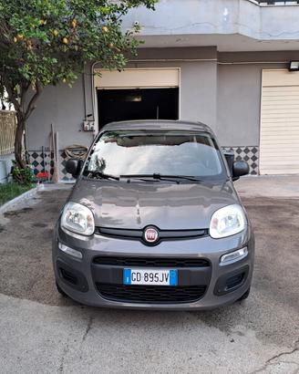 Fiat Panda 1.2 Easy PARI ALL NUOVO