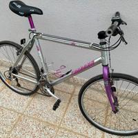 Bici Carraro