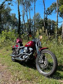Harley-Davidson FXSTS