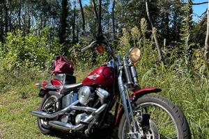 Harley-Davidson FXSTS