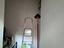 Immagine 23