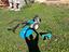 Immagine 2