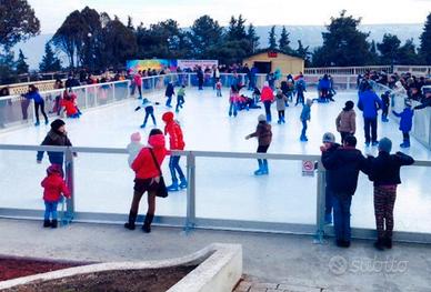 Noleggiamo piste di pattinaggio sintetiche