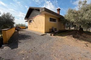 Casa singola di 70 mq con 7000 mq di terreno