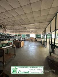 MQ 500 GUIDONIA, Rif.V-623.