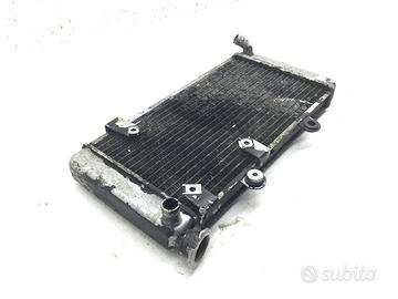 BMW F 650 RADIATORE ACQUA LIQUIDO RAFFREDDAMENTO M