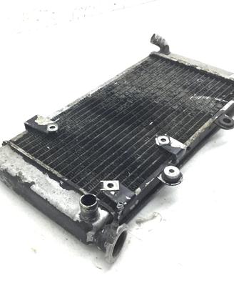BMW F 650 RADIATORE ACQUA LIQUIDO RAFFREDDAMENTO M