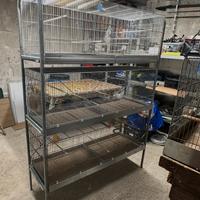 Batteria gabbie per uccelli