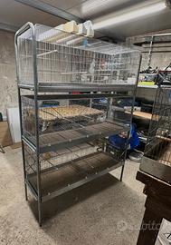 Batteria gabbie per uccelli