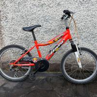 Bicicletta da bambino 20”