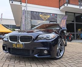 Bmw 530d xDrive Msport/ FULL OPTIONAL / 3.0 249CV 