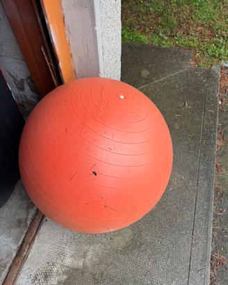 FITBALL