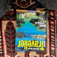 Lotto 15 pezzi Traveller anni 2000 Silver e Gold