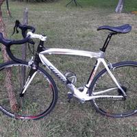 Bici in carbonio Wilier Izoard