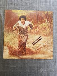 vinil