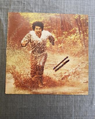 vinil