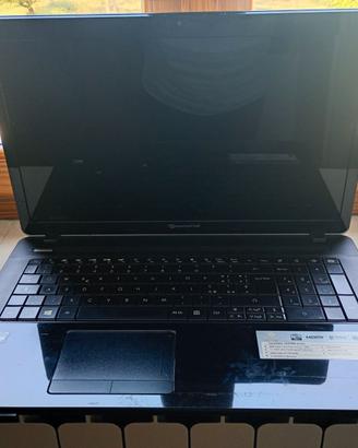 PC packard bell con web cam