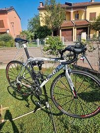 Wilier Triestina 101 Damiano Cunego