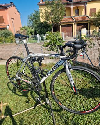 Wilier Triestina 101 Damiano Cunego
