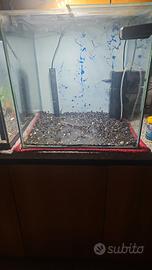 Aquarium 